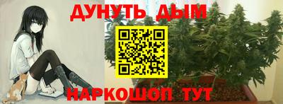 ПСИЛОЦИБИНОВЫЕ ГРИБЫ Сланцы