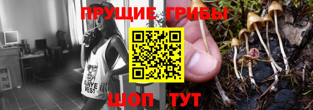 Протвино  MDMA  Купить наркотик  Марихуана  Вход с VPN  Cocaine  МЕФ кристаллы  ГАШИШ  COCAIN 